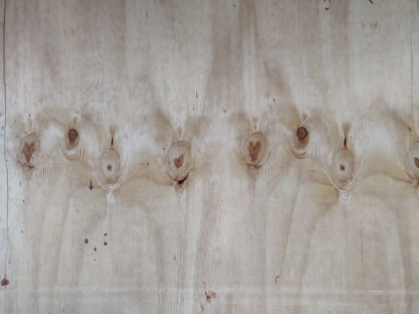 Illustrative close-up photograph of pale wood grain