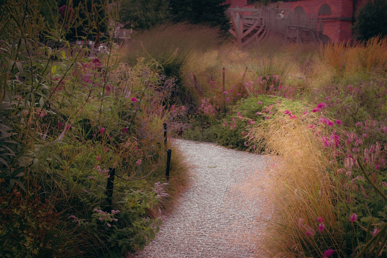 A gravel garden path surrounded by grasses and flowering borders